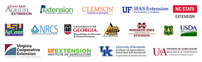 Sponsors Image for Email Marketing