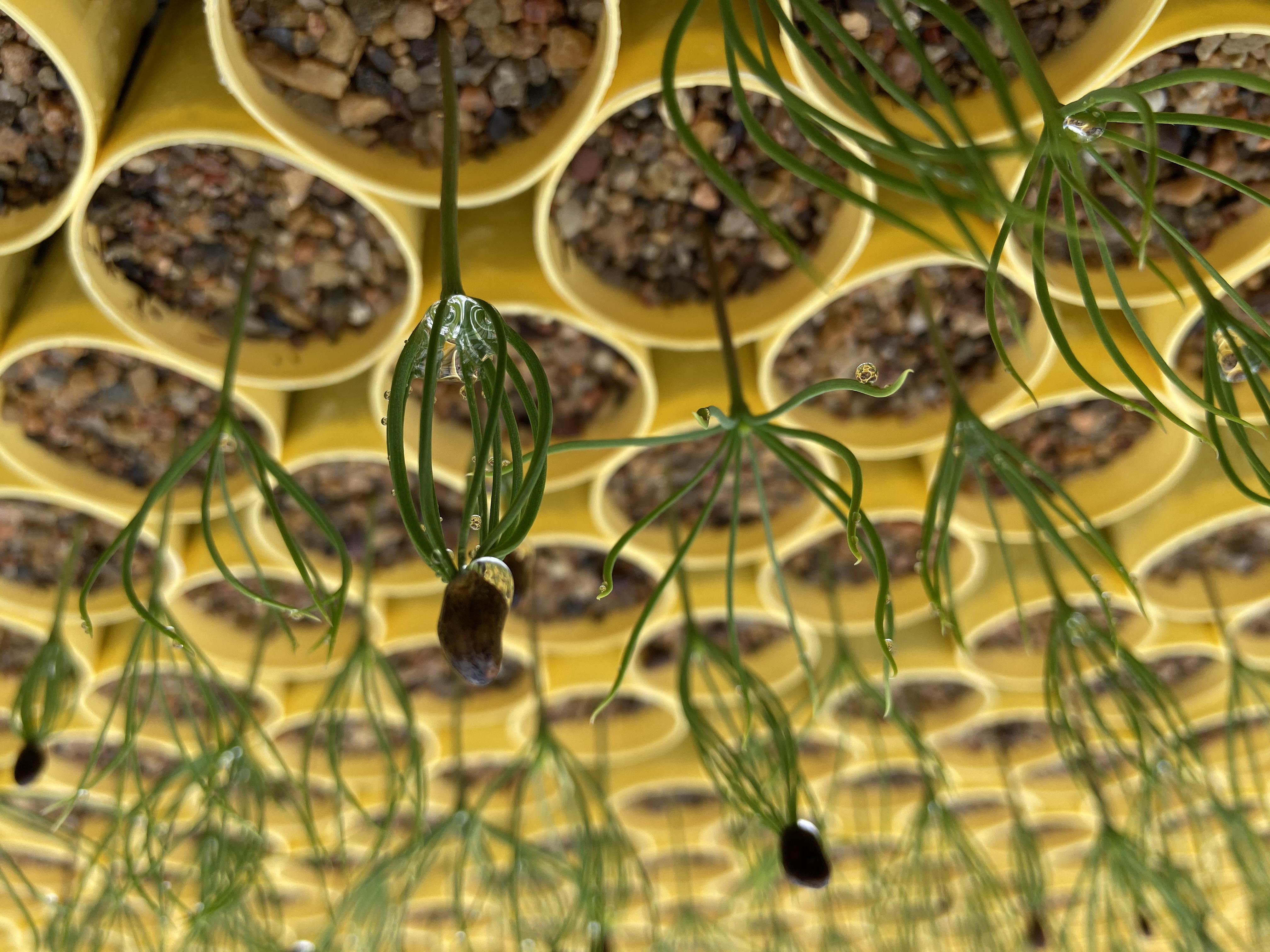 Webinar Preview Image