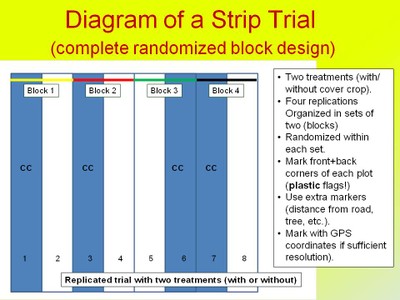 Adaptive Nutrient Management On-farm Testing image