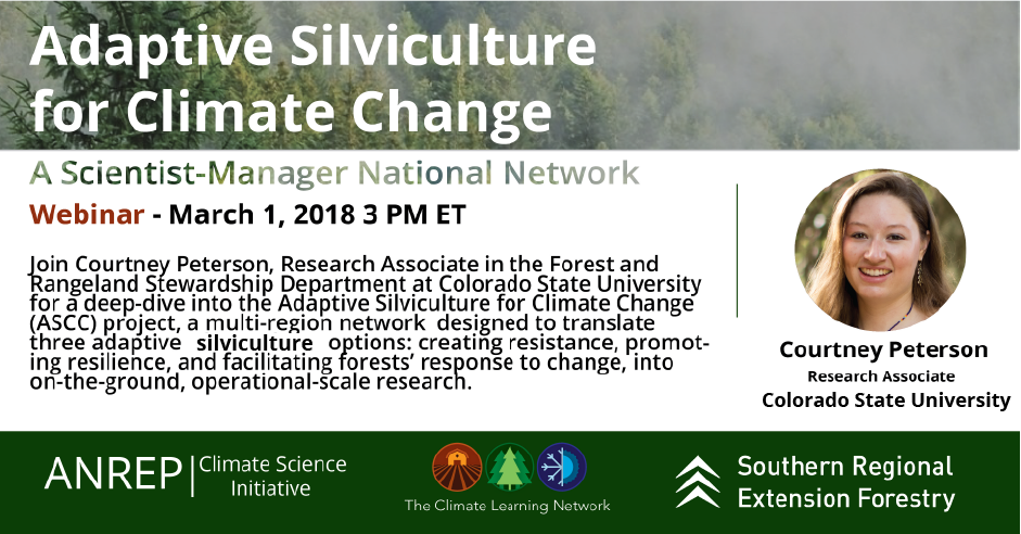 Webinar Preview Image