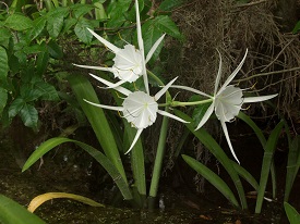 Webinar Preview Image