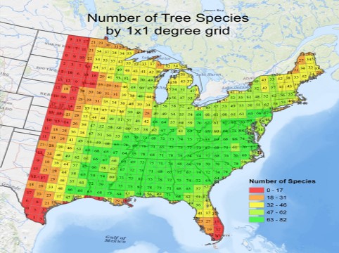 Webinar Preview Image