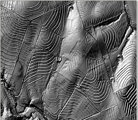 Webinar Preview Image