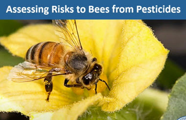 Webinar Preview Image