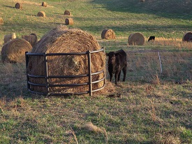 Webinar Preview Image