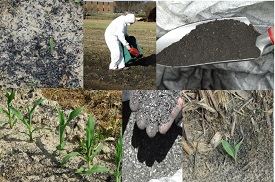 Webinar Preview Image