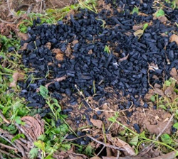 Webinar Preview Image