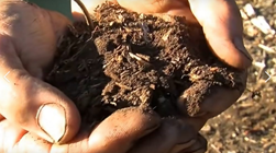 Webinar Preview Image