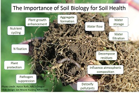 Webinar Preview Image