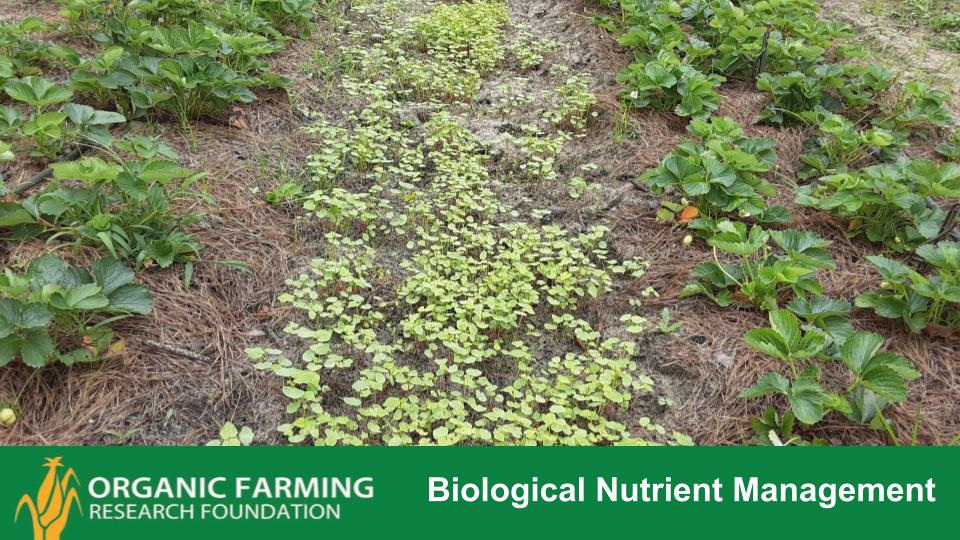 Webinar Preview Image