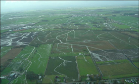 Webinar Preview Image