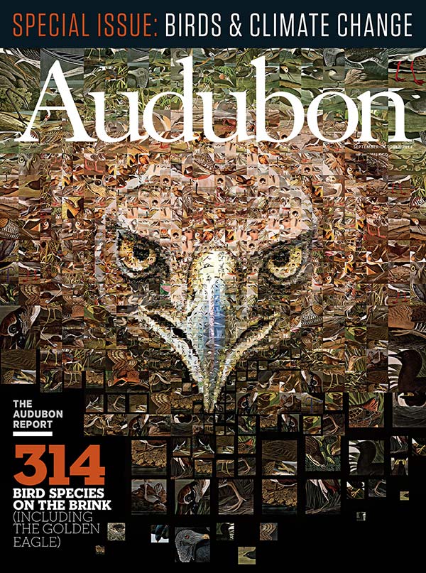 Webinar Preview Image