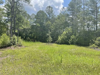 Webinar Preview Image