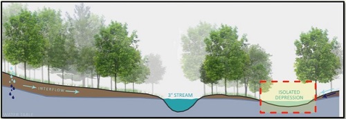 wetland mitigation
