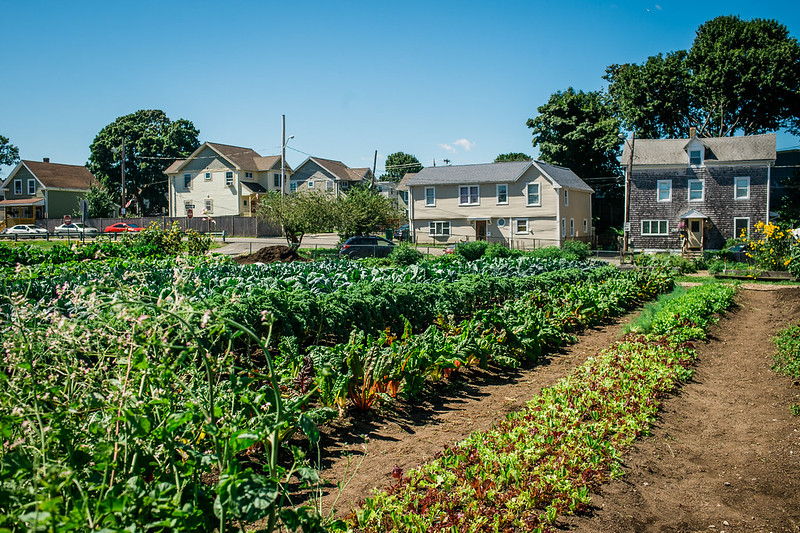 Webinar Preview Image