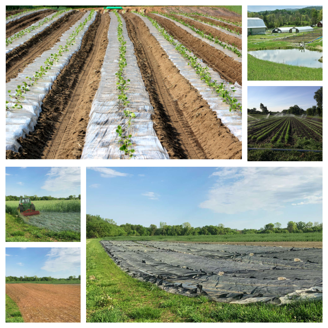 Webinar Preview Image