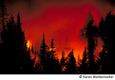 Webinar Preview Image