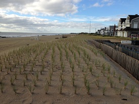 Webinar Preview Image