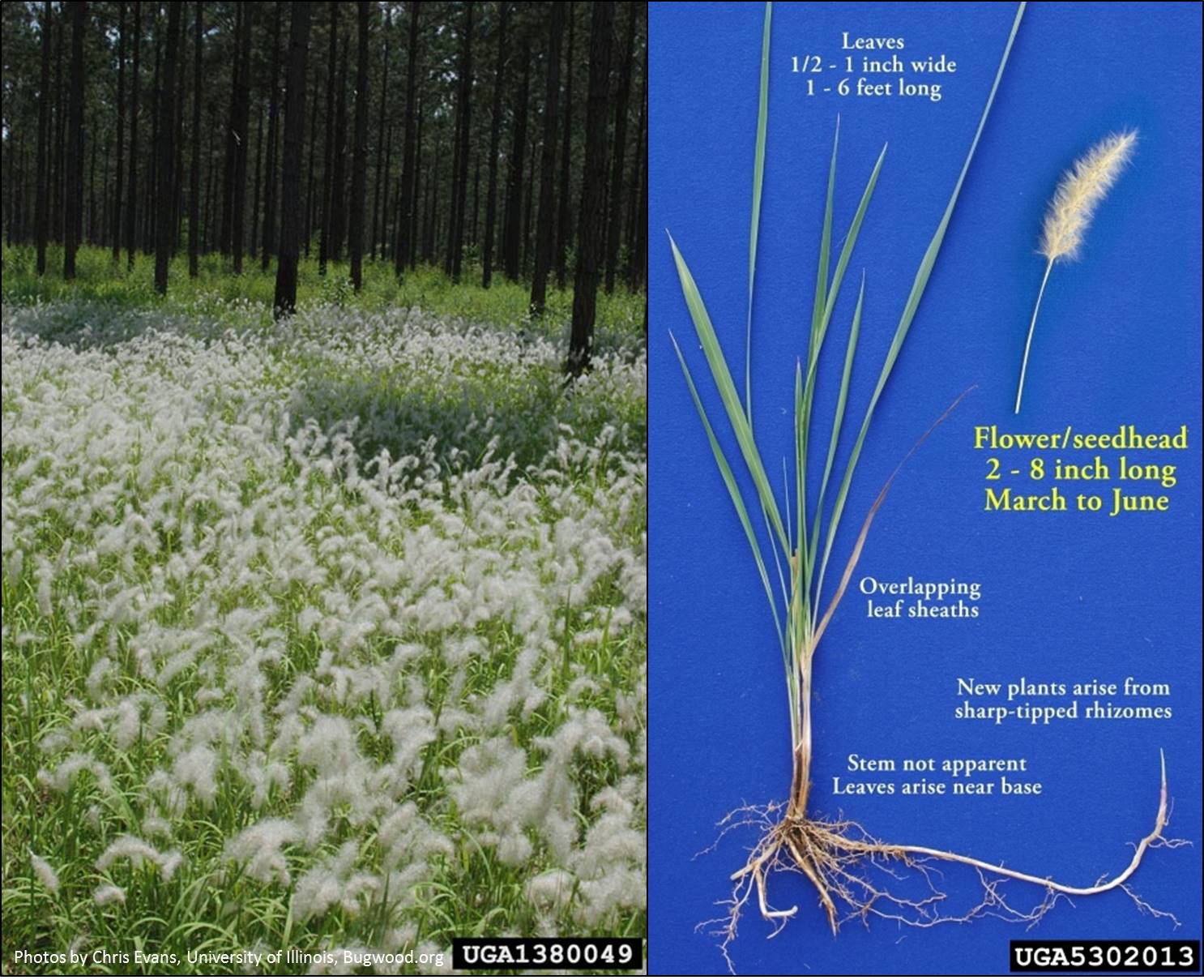 Webinar Preview Image