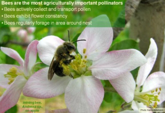 Webinar Preview Image