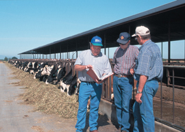 Webinar Preview Image