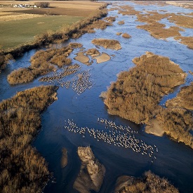 Webinar Preview Image