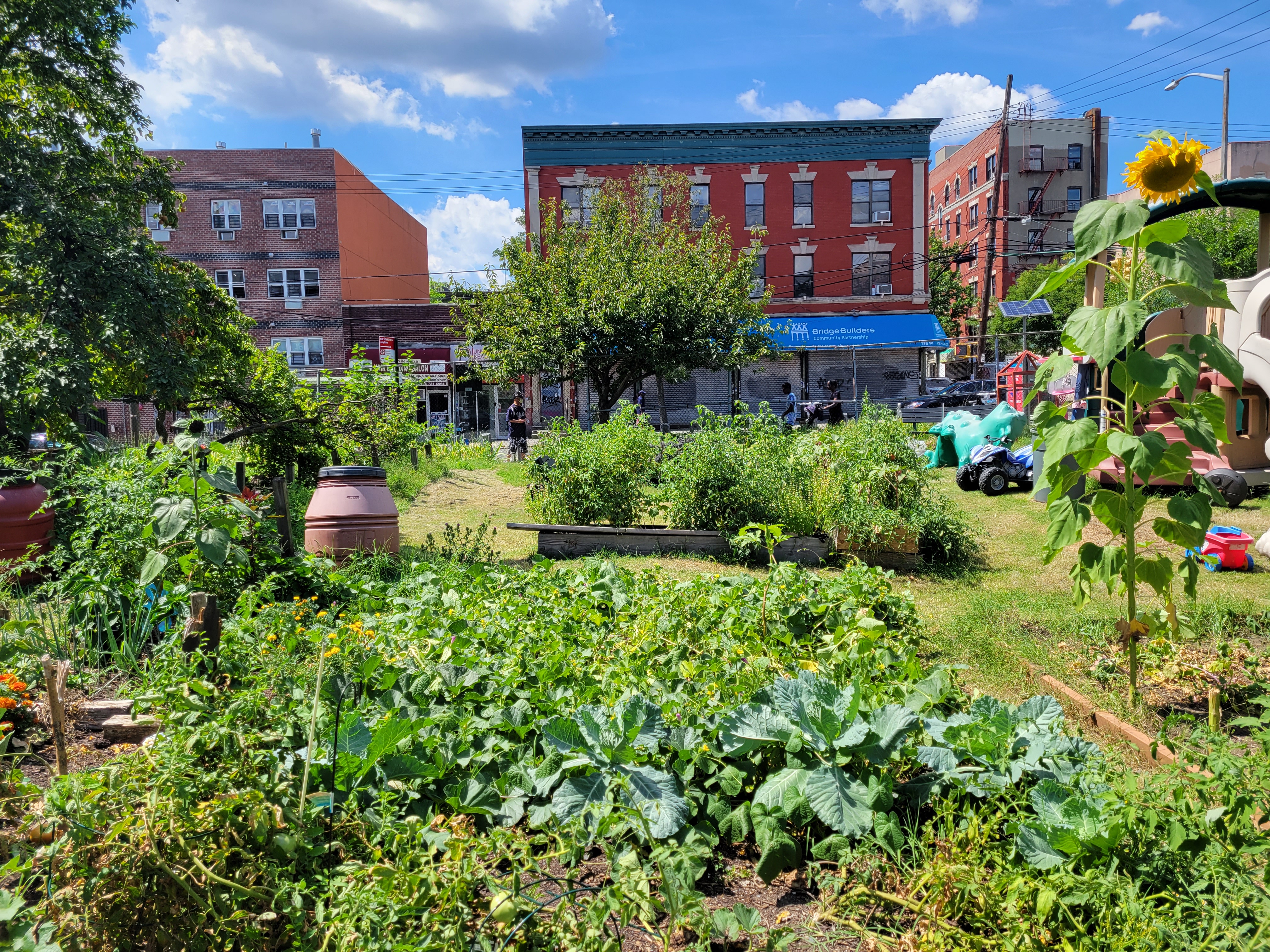 Webinar Preview Image