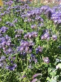 Webinar Preview Image