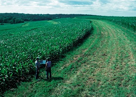 Webinar Preview Image