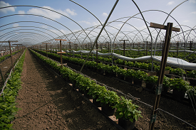 Webinar Preview Image