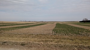 Webinar Preview Image