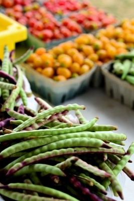 Vegetable Systems image