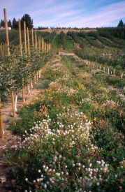 Webinar Preview Image