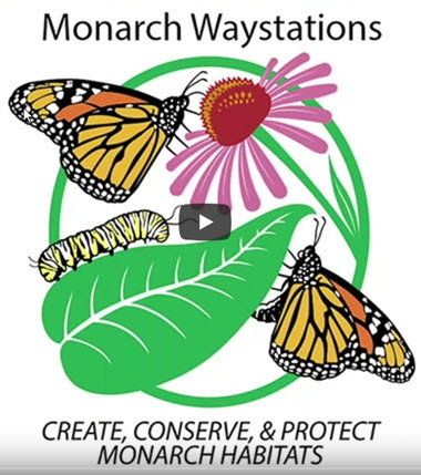 Webinar Preview Image