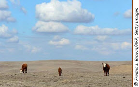 Webinar Preview Image