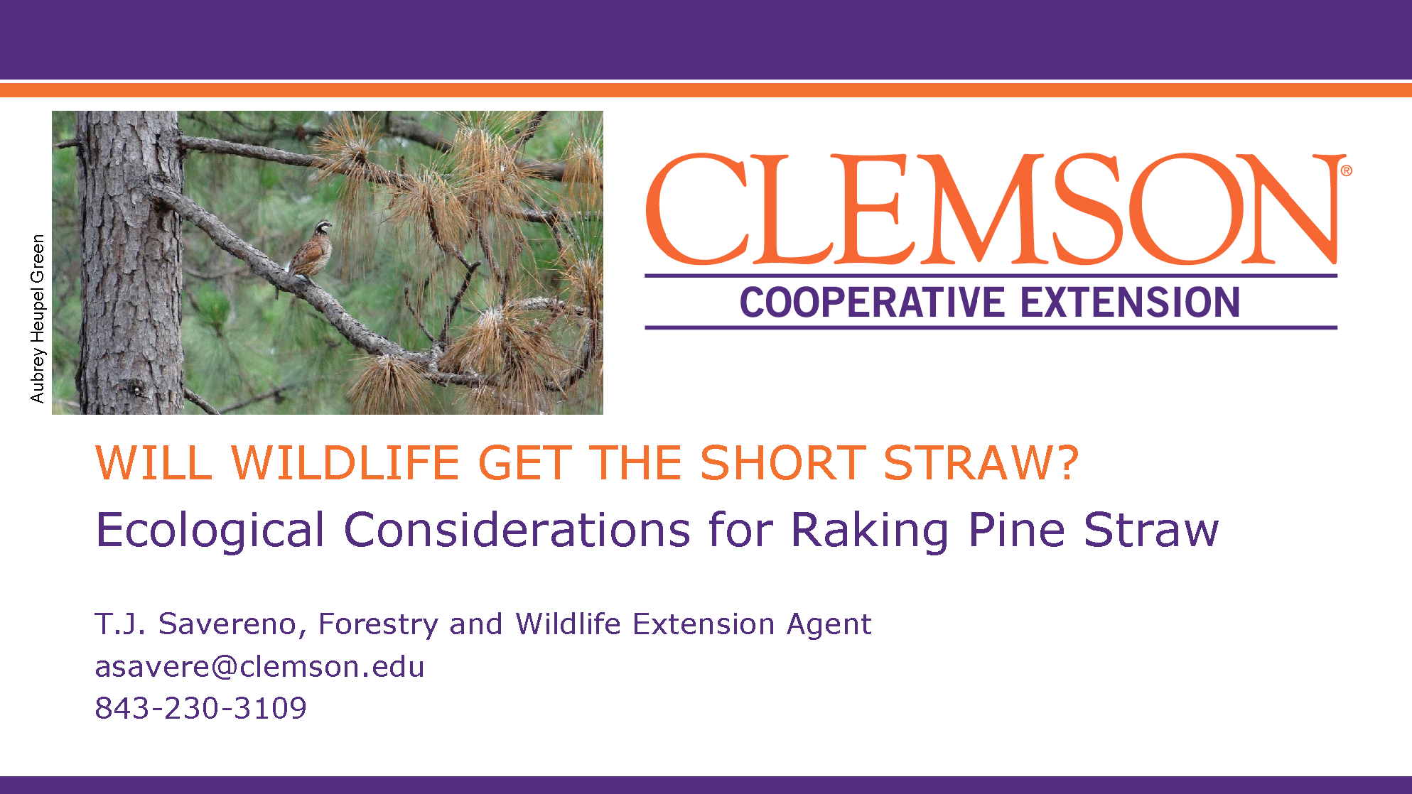 Webinar Preview Image