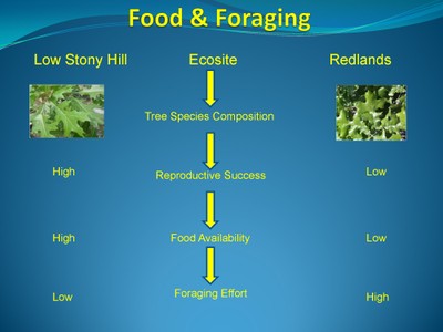 Ecological Site Descriptions image