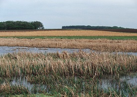 Webinar Preview Image