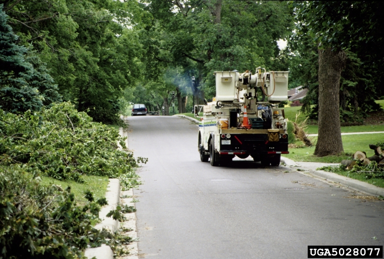 Webinar Preview Image