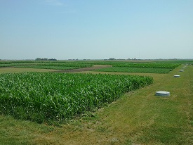 Webinar Preview Image