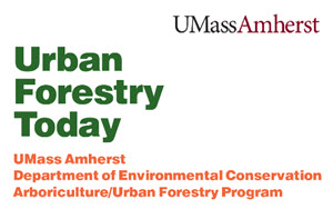 Webinar Sponsor Image