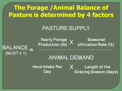 Essential Principles of Conservation Planning on Pastures image