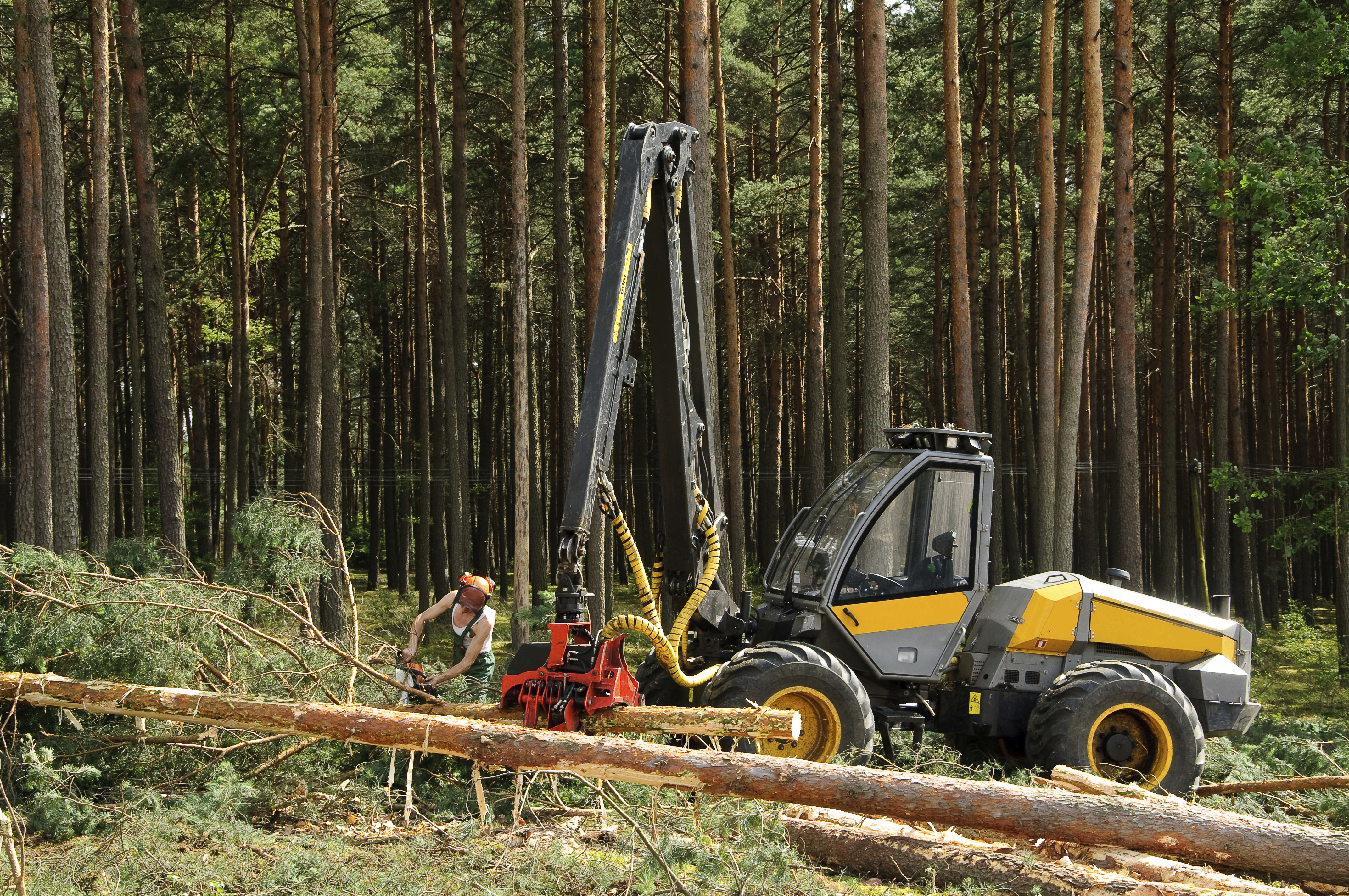 Webinar Preview Image