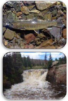 Webinar Preview Image