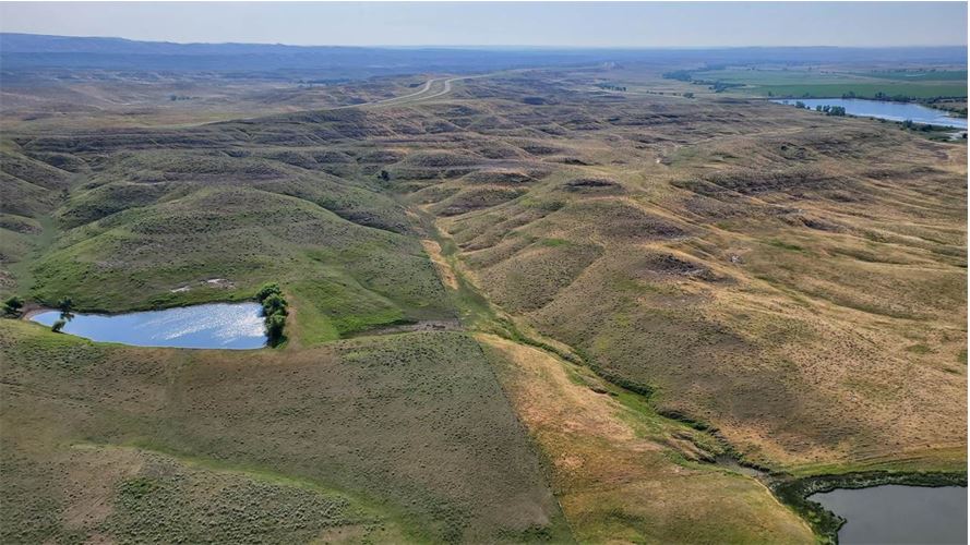 Webinar Preview Image