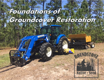 Foundations of Groundcover Restoration