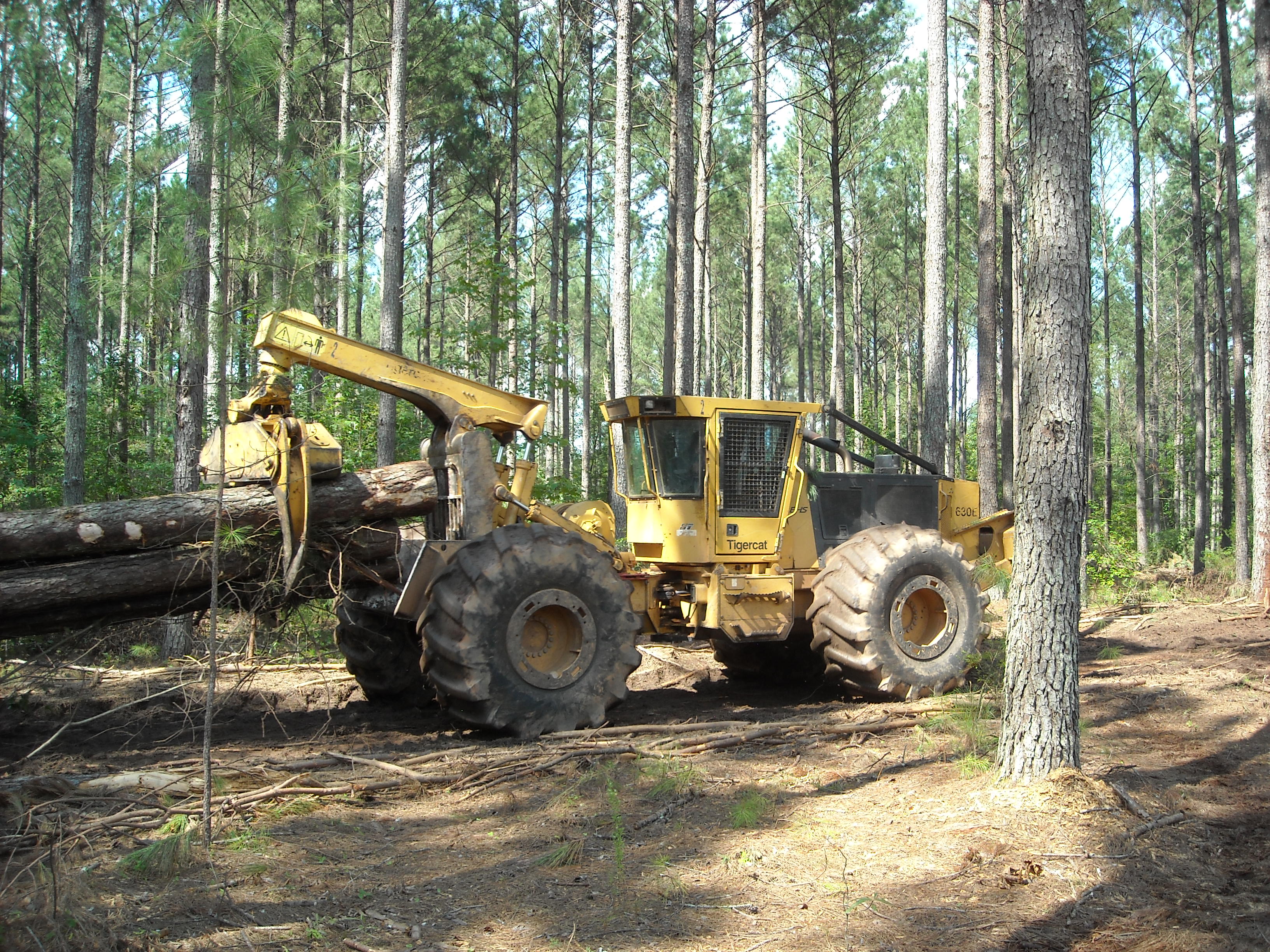 Webinar Preview Image