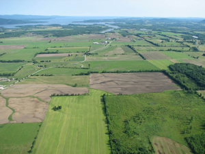 Webinar Preview Image