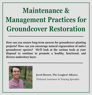 Mgmt GC webinar imge