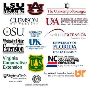 Webinar Preview Image